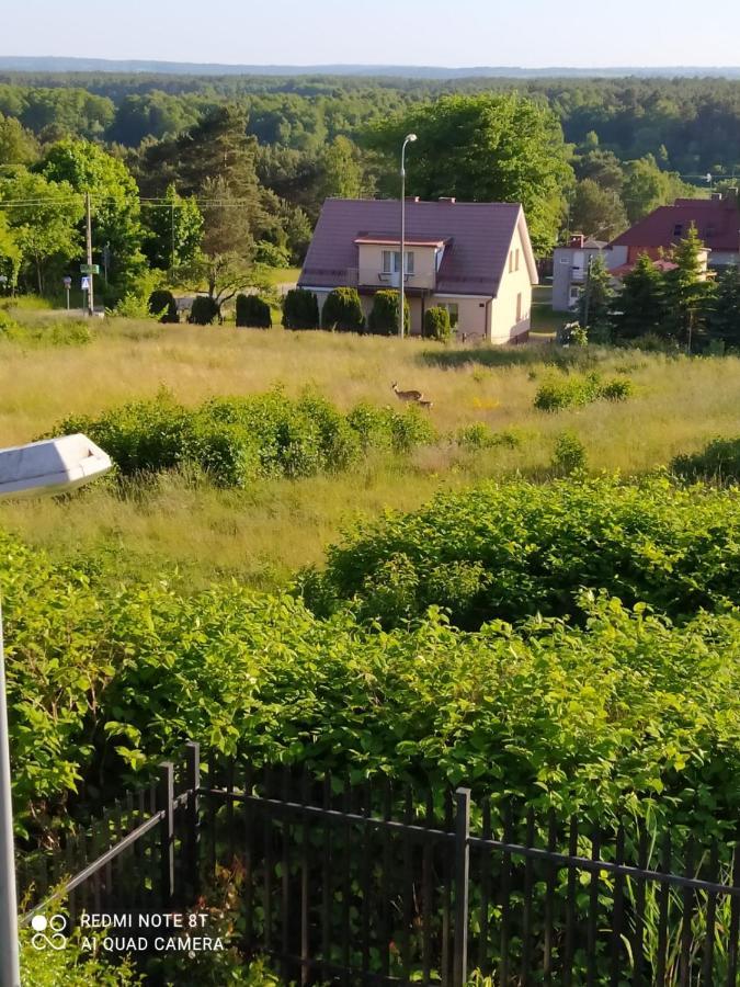 Ferienwohnung Mocik Jastrzębia Góra Exterior foto